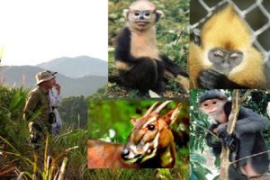 Kiểm kê đa dạng sinh học và đề xuất các biện pháp bảo tồn vùng dự án Bảo tồn Đa dạng sinh học ở dãy núi Bắc Trường Sơn (Hương Sơn, Hà Tĩnh)