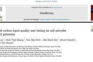 Effects of carbon input quality and timing on soil microbe<br>mediated processes